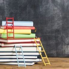 Crear ambients preparats: Llengua i cultura